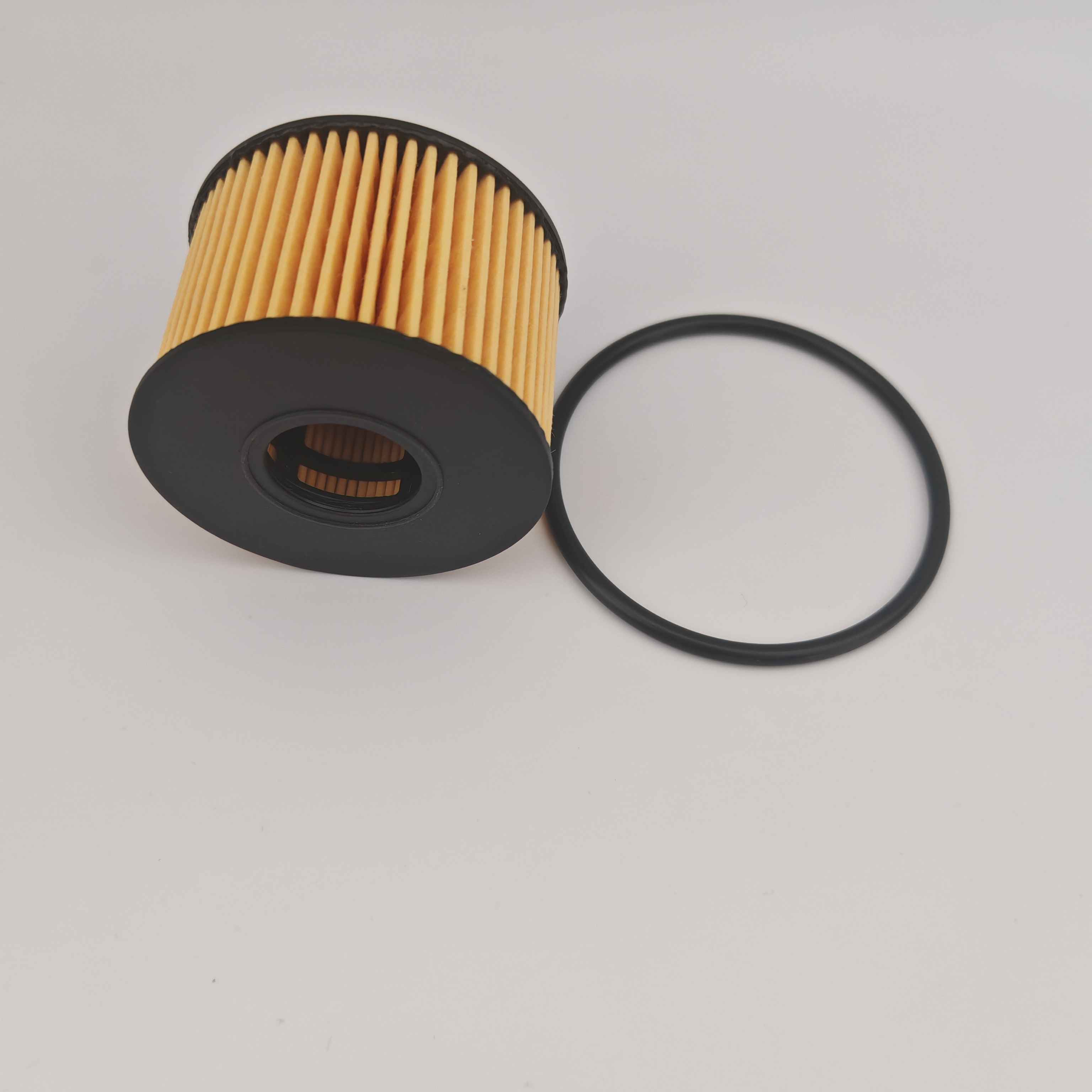 MS1-6744-AA OX1243D FOH5013 Filtre d'huile pour JMC